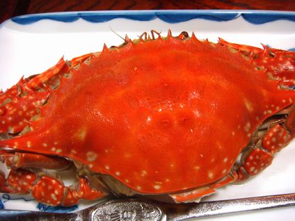 DSC08665.jpg